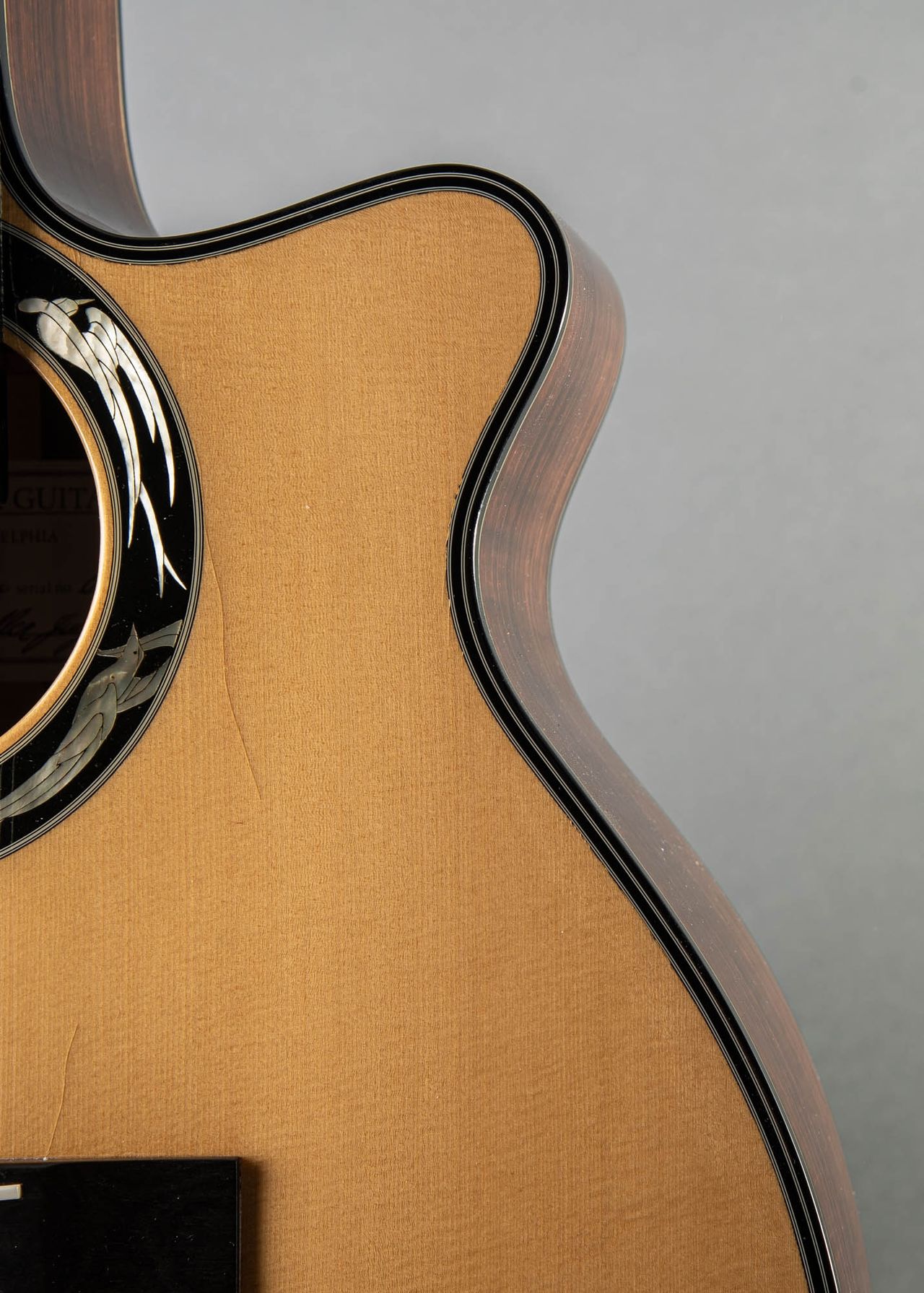 Carter Vintage - Zeidler Auditorium 12-String 1985, Indian
