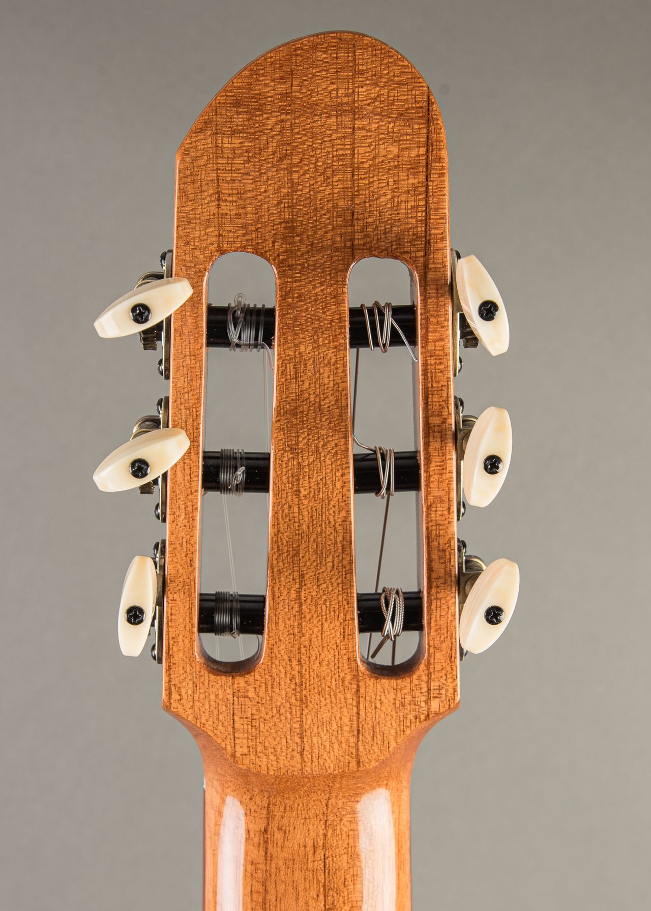 「UG-Kai出品」 Guitar Sound CD-ROM Carter Vintage - Heart Strings Parlor Nylon 2024, Cocobolo