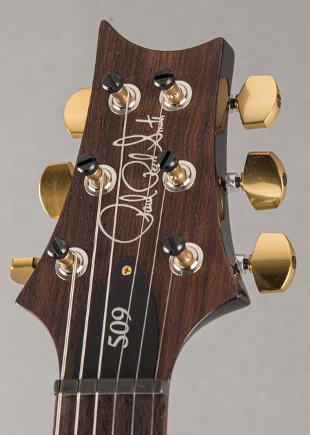 Carter Vintage - PRS Private Stock Paul's Guitar 2021, Tiger