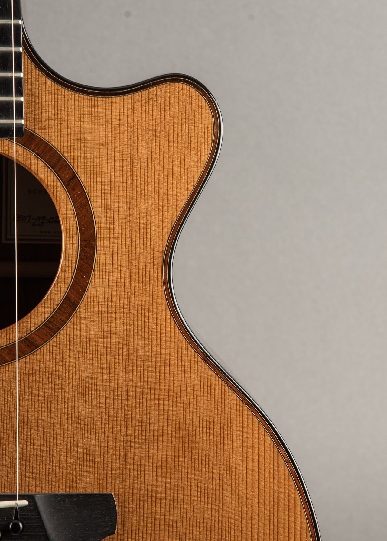 Carter Vintage - Schenk FE Grand Fingerstyle 2007, Natural