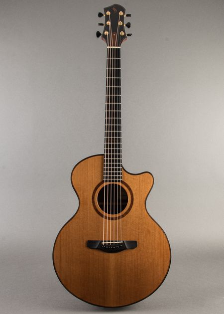 Carter Vintage - Schenk FE Grand Fingerstyle 2007, Natural