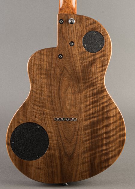 Carter Vintage - Rick Turner Renaissance RS12 2023, Dark
