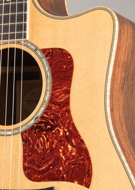 Taylor 810e 希望金額をお示しください TAYLOR 810|ドルフィンギターズ