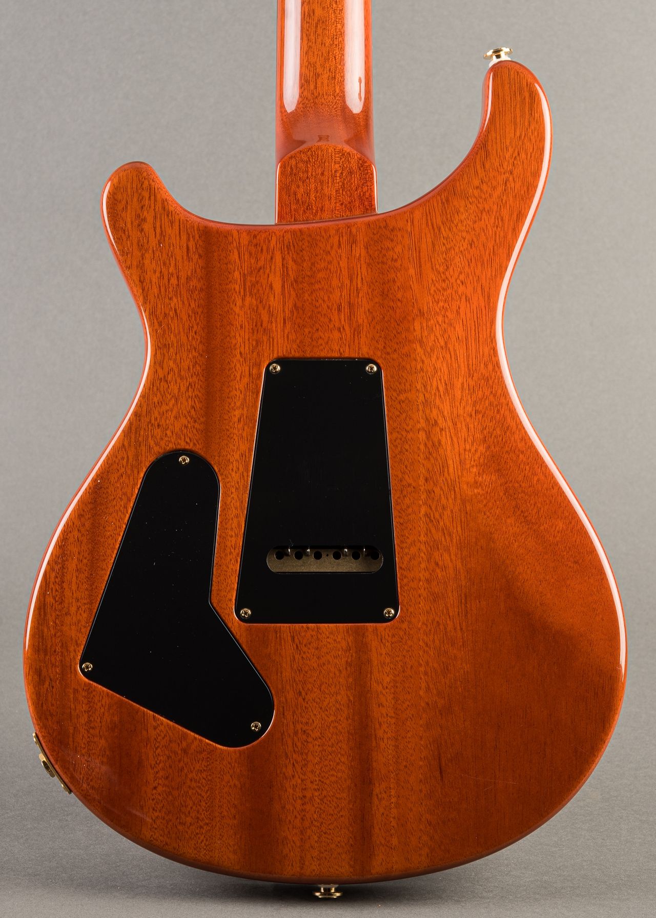 PRS Custom 24 20th ハカランダ M14625000001000-00-720x720.jpg