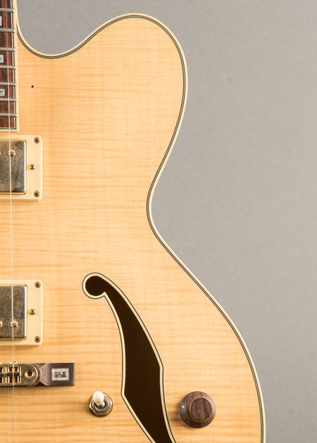 ギター Ibanez AF105-VB12-01 S10102778 Ibanez Af105-Vb12-01 S10102778 | eBay