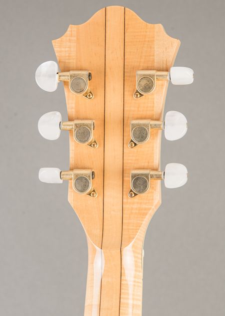 Carter Vintage - Ibanez Artcore Series AF105-NT-12-01 2005