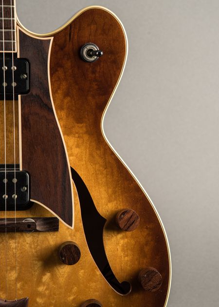 Carter Vintage - Fender D'Aquisto Standard 1984, Sunburst