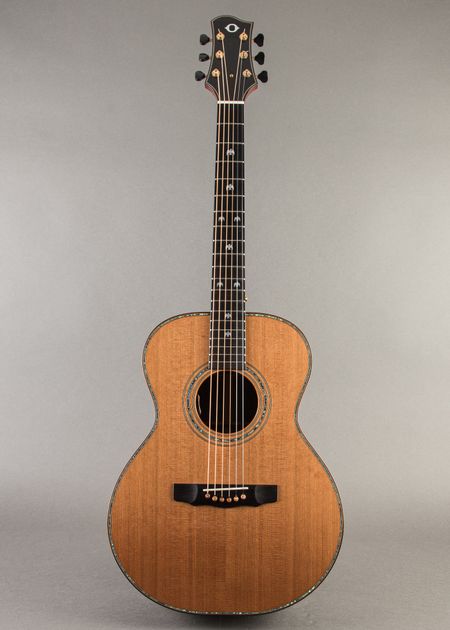 アコースティックギター　w.carter アコースティックギター w.carter