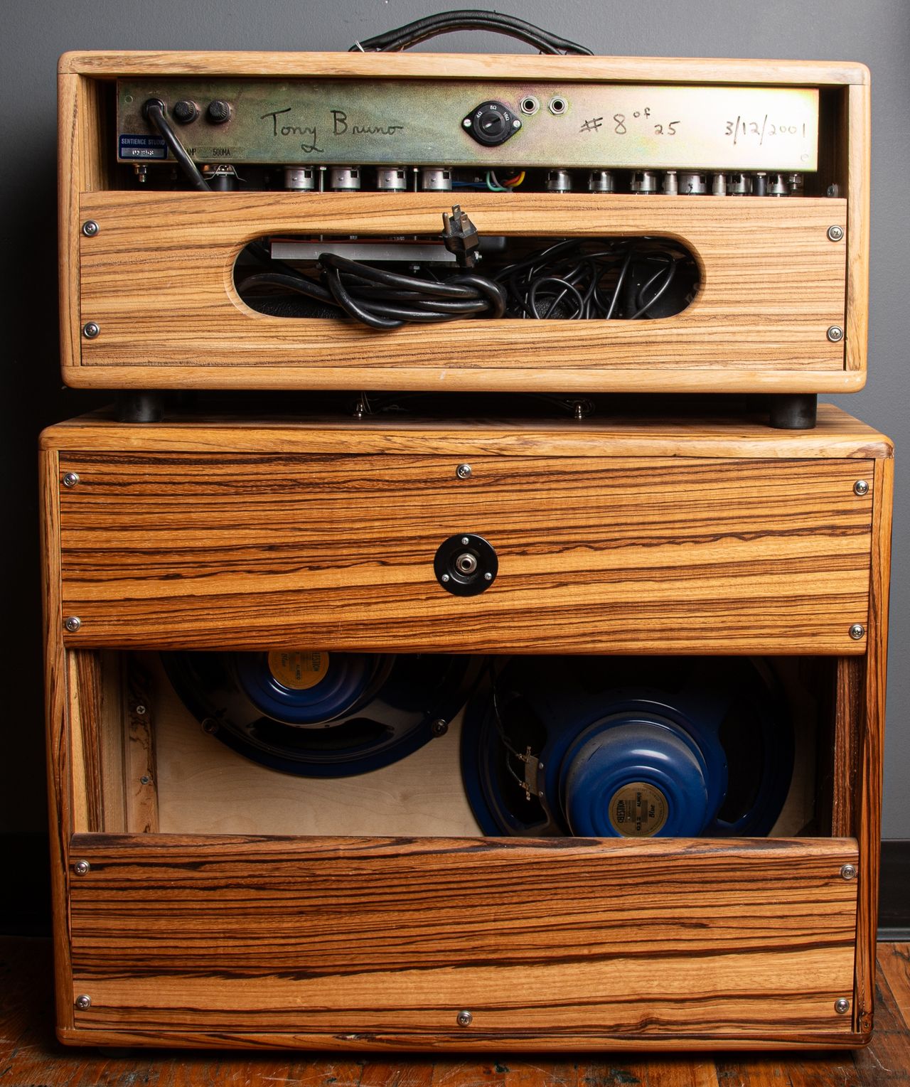 ギター BRUNO CASTAM AMP Bruno Custom Cowtipper 45 Watt - USA 2009 - Premier Guitars