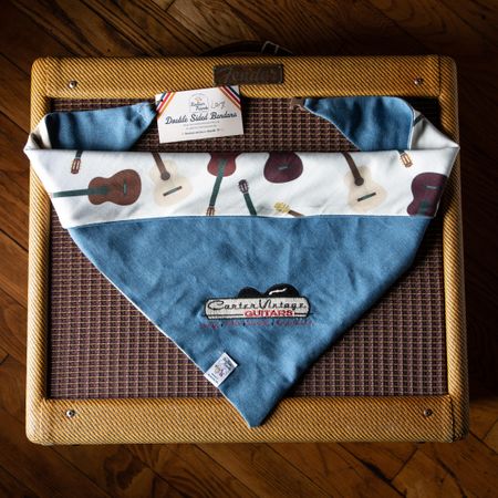 FurEver Friends CVG Denim with White Guitar Print (Clasp) thumbnail