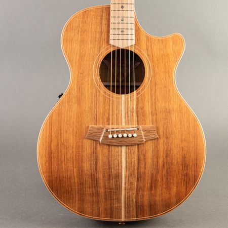Cole Clark TL-Thinline TL2EC-BLBL 2022, Natural thumbnail