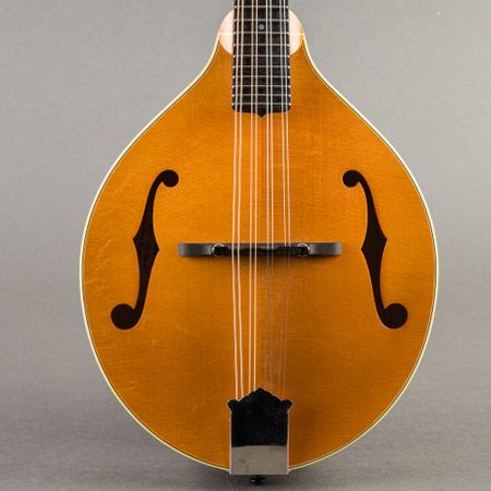 Pava A-5 2012, Amber Blonde thumbnail