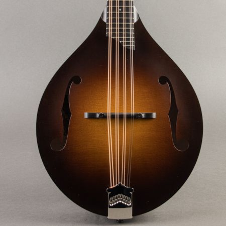 Collings MT Mandola 2023, Torreified Adi, Sunburst thumbnail