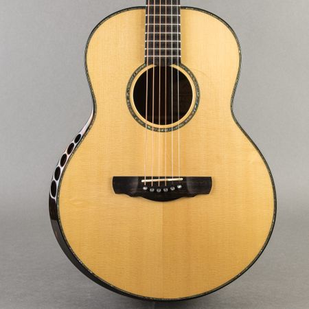 Kevin Ryan Paradiso Grand Concert 2015, Natural thumbnail