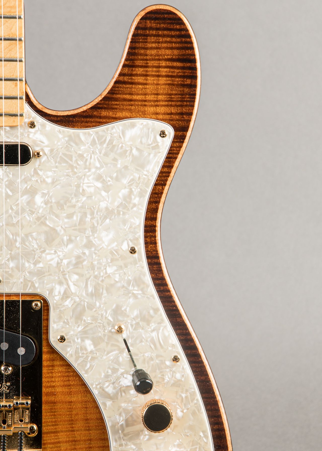 Carter Vintage - Fender Select Thinline Telecaster 2012, Violin