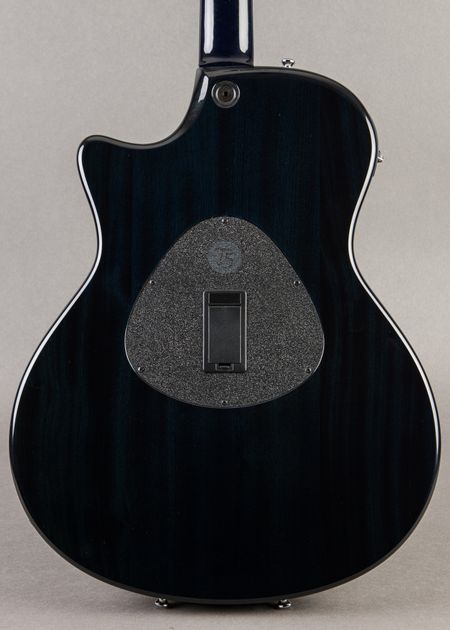Carter Vintage - Taylor Custom GA 2020, Sunburst | Carter Vintage