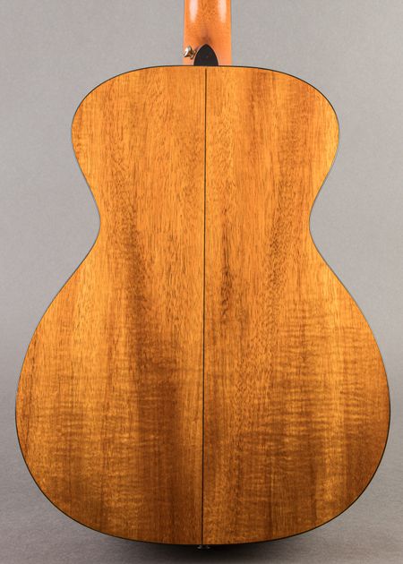 Carter Vintage - Taylor Custom GA 2020, Sunburst | Carter Vintage