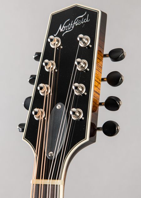 Carter Vintage - Northfield NFMSP-A5 2026, Dark Cherryburst