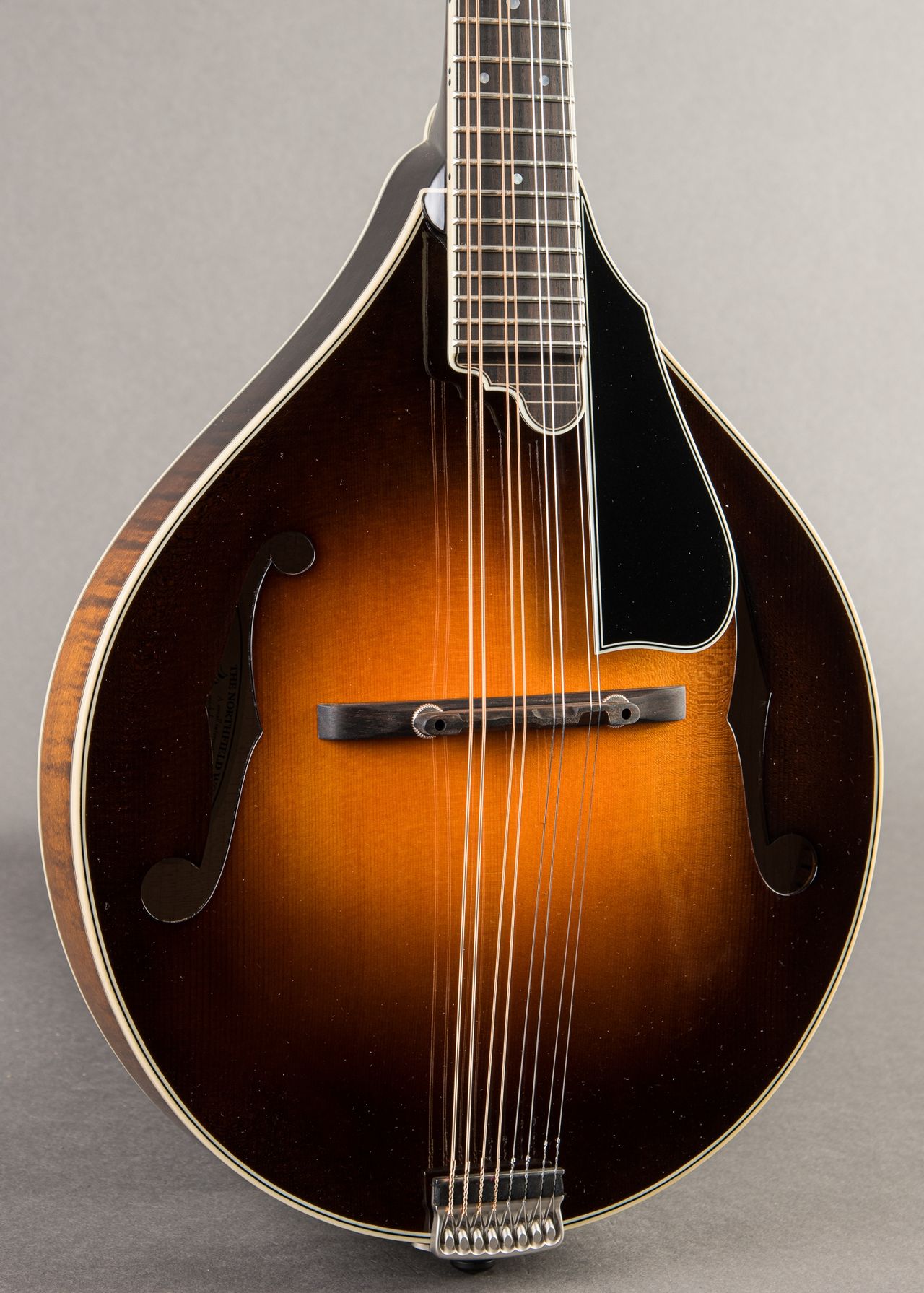 Carter Vintage - Northfield NFMSP-A5 2026, Dark Cherryburst