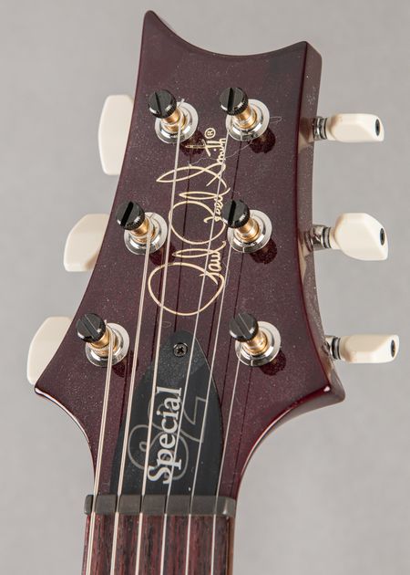 Carter Vintage - PRS Custom 24 Piezo 10-Top 2017, Flame Burst
