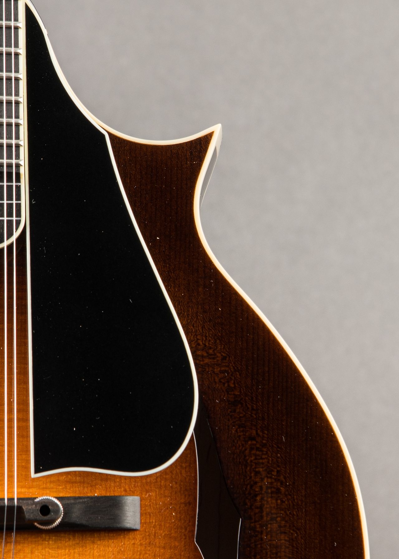 【レア】渡辺勝/フェイドレス　Fadeless Carter Vintage - Northfield NFB-F5E 2026, Sunburst | Carter