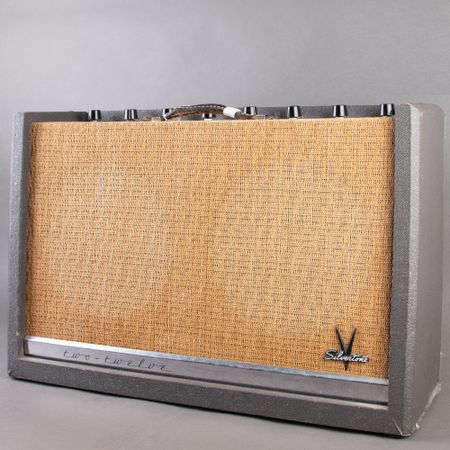 Silvertone Model 1396 Two Twelve 2x12 50w Combo 1959, Grey thumbnail