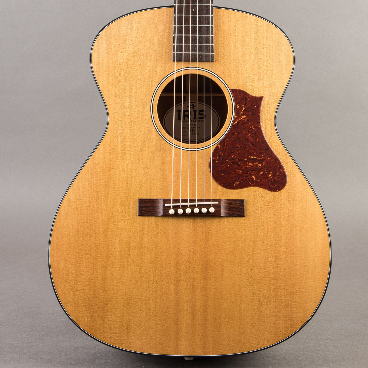 2026 Iris Guitars JB at Carter Vintage Guitars