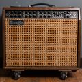 Mesa Boogie Mark V 40th Anniversary 100w 1x12 Combo 2009, Natural — thumbnail 2 of 3