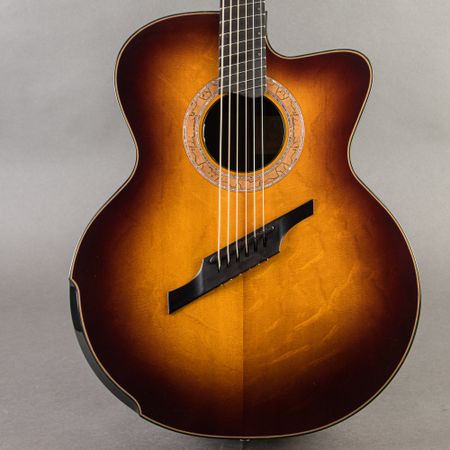 Greenfield G-4 Cutaway 2003, Sunburst thumbnail