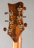 Greenfield G-4 Cutaway 2003, Sunburst — thumbnail 11 of 11