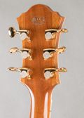 Ibanez PM200 2021, Natural — thumbnail 10 of 10