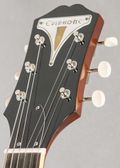 Epiphone 50th Anniversary '61 Casino 2011, Sunburst — thumbnail 5 of 8