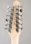 Squier Paranormal Troy Van Leeuwen Telecaster XII 2026, Copper Age — thumbnail 8 of 8