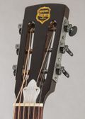 Dobro Duolian "Hula Blues" 1999, Palm Tree Stencil — thumbnail 6 of 9