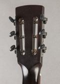 Dobro Duolian "Hula Blues" 1999, Palm Tree Stencil — thumbnail 9 of 9