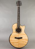 Ryan Paradiso Grand Concert 2021, Natural — thumbnail 6 of 11