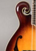 Tailwater TW-F5 2026, Sunburst — thumbnail 4 of 9