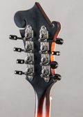 Tailwater TW-F5V Vintage Varnish 2026, Sunburst — thumbnail 9 of 9