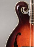 Tailwater TW-F5V Vintage Varnish 2026, Sunburst — thumbnail 4 of 9