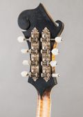 McClanahan Trinity F-5 2023, Sunburst — thumbnail 11 of 11
