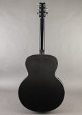 RainSong CO-JM1000N2 2021, Black — thumbnail 8 of 9