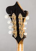 Nugget F-5 1980, Sunburst — thumbnail 11 of 11