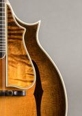 Nugget F-5 1980, Sunburst — thumbnail 2 of 11