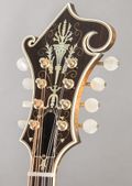 Nugget F-5 1980, Sunburst — thumbnail 6 of 11