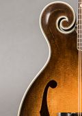 Nugget F-5 1980, Sunburst — thumbnail 4 of 11