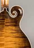Nugget F-5 1980, Sunburst — thumbnail 9 of 11