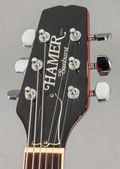Hamer Sunburst 1980, Sunburst — thumbnail 6 of 9