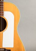 Gibson F-25 Folk Singer 1964, Natural — thumbnail 2 of 9